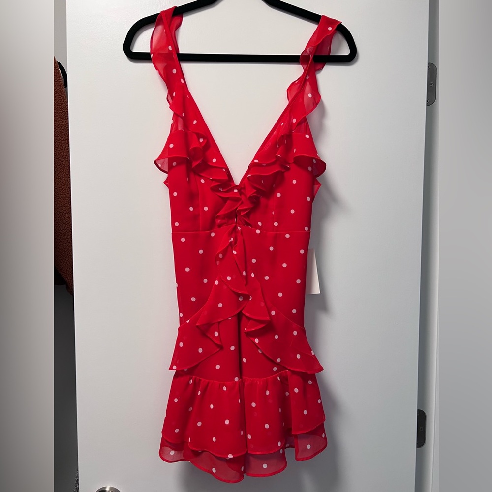 For Love and Lemons Dress